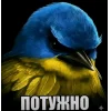 🤩 Эмодзи «Birds Memes» для Telegram