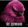🤩 Эмодзи «Birds Memes» для Telegram