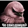 🤩 Эмодзи «Birds Memes» для Telegram