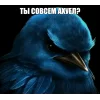 🤩 Эмодзи «Birds Memes» для Telegram