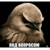 🤩 Эмодзи «Birds Memes» для Telegram