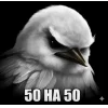 🤩 Эмодзи «Birds Memes» для Telegram