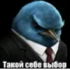 🤩 Эмодзи «Birds Memes» для Telegram