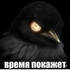 🤩 Эмодзи «Birds Memes» для Telegram