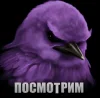 🤩 Эмодзи «Birds Memes» для Telegram