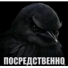 🤩 Эмодзи «Birds Memes» для Telegram