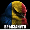 🤩 Эмодзи «Birds Memes» для Telegram
