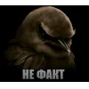 🤩 Эмодзи «Birds Memes» для Telegram