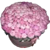 Стикер 6 Pink Black