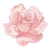 Стикер 48 Pink Black