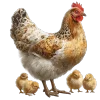 🐔 Эмодзи «Премудрости» для Telegram