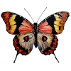 🦋 Эмодзи «Премудрости» для Telegram