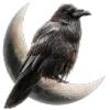 🐦‍⬛️ Эмодзи «Премудрости» для Telegram