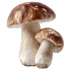 🍄‍🟫 Эмодзи «Премудрости» для Telegram