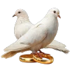 🕊 Эмодзи «Премудрости» для Telegram