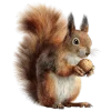 🐿 Эмодзи «Премудрости» для Telegram