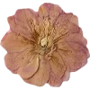 🫥 Эмодзи «Pressed flowers» для Telegram