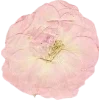 🫥 Эмодзи «Pressed flowers» для Telegram