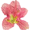 🫥 Эмодзи «Pressed flowers» для Telegram