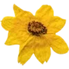 🫥 Эмодзи «Pressed flowers» для Telegram