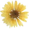 🫥 Эмодзи «Pressed flowers» для Telegram