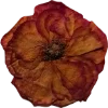 🫥 Эмодзи «Pressed flowers» для Telegram
