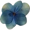 🫥 Эмодзи «Pressed flowers» для Telegram