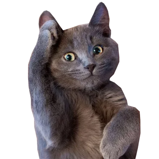 🫡 Стикер «Press F to Respect» для Telegram