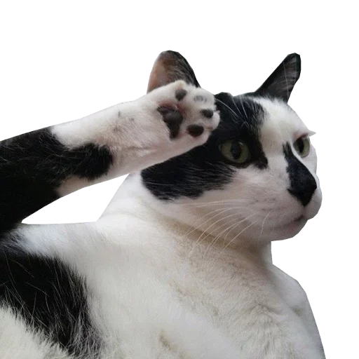 🫡 Стикер «Press F to Respect» для Telegram