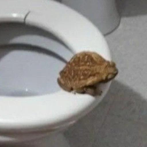 🚽 Стикер «Жабки ь» для Telegram