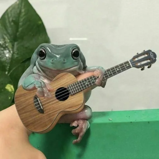🎸 Стикер «Жабки ь» для Telegram