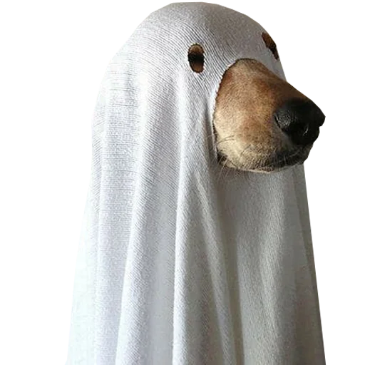 👻 Стикер «ассорти» для Telegram