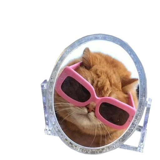😸 Стикер «ассорти» для Telegram