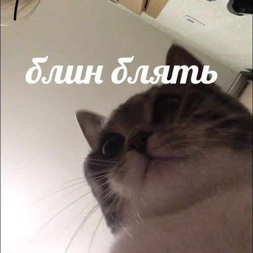 🙂 Стикер «pretty poison» для Telegram