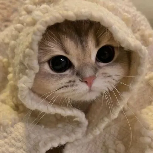 🥺 Стикер «pretty poison» для Telegram