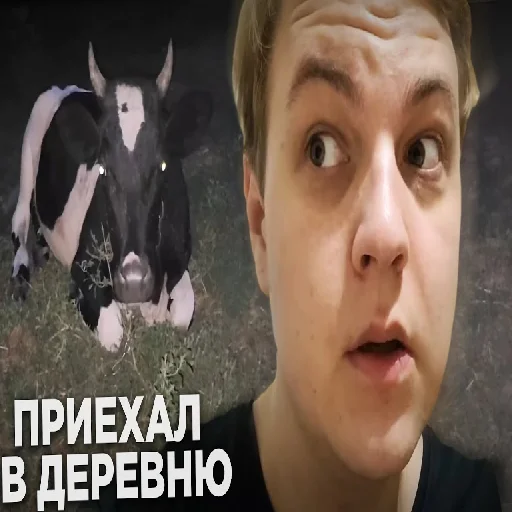 🐄 Стикер «5орка Превью» для Telegram