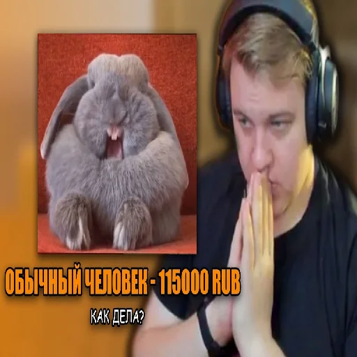 🐰 Стикер «5орка Превью» для Telegram