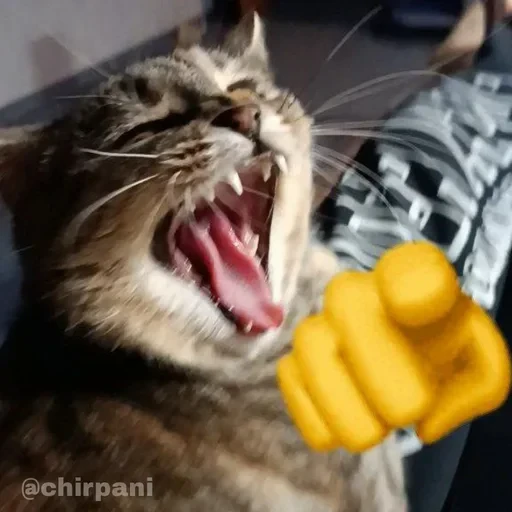 😹 Стикер «ОБЩЕСТВО ГЛУМЛЕНИЯ» для Telegram
