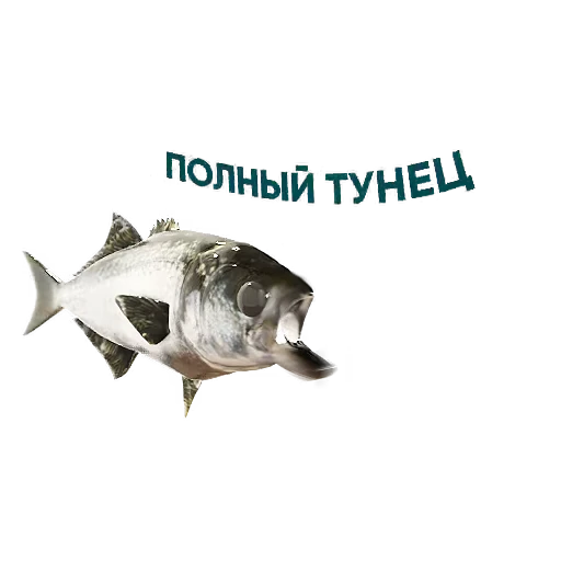 🤪 Стикер «Приколдукты» для Telegram