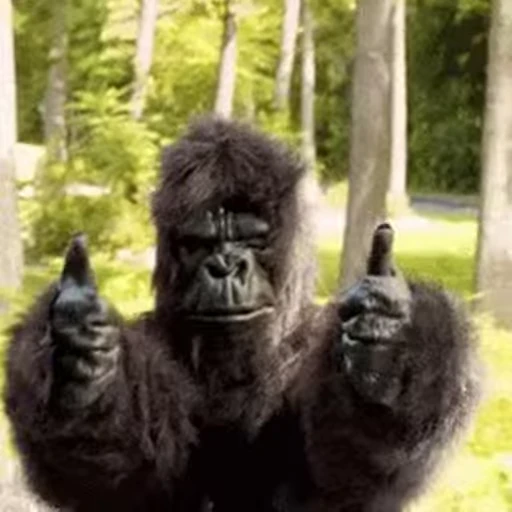 😎 Стикер «Primates» для Telegram