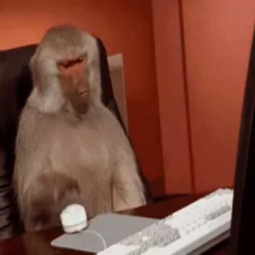 😠 Стикер «Primates» для Telegram
