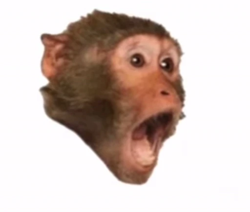 😱 Стикер «Primates» для Telegram
