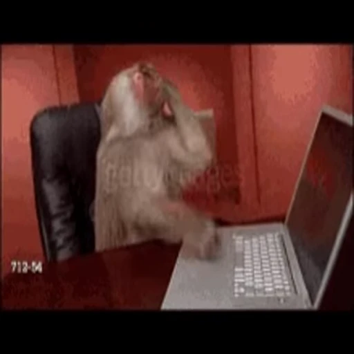 😠 Стикер «Primates» для Telegram