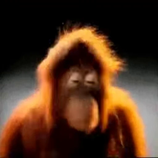 🙅‍♂ Стикер «Primates» для Telegram