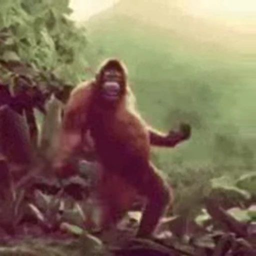 🕺 Стикер «Primates» для Telegram