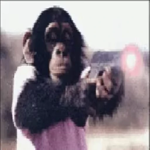 🔫 Стикер «Primates» для Telegram