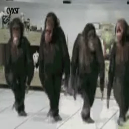 🕺 Стикер «Primates» для Telegram