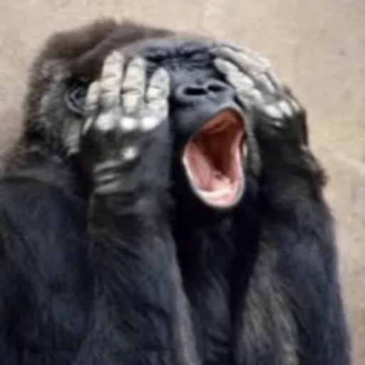 😱 Стикер «Primates» для Telegram