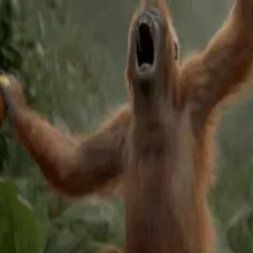 🥱 Стикер «Primates» для Telegram