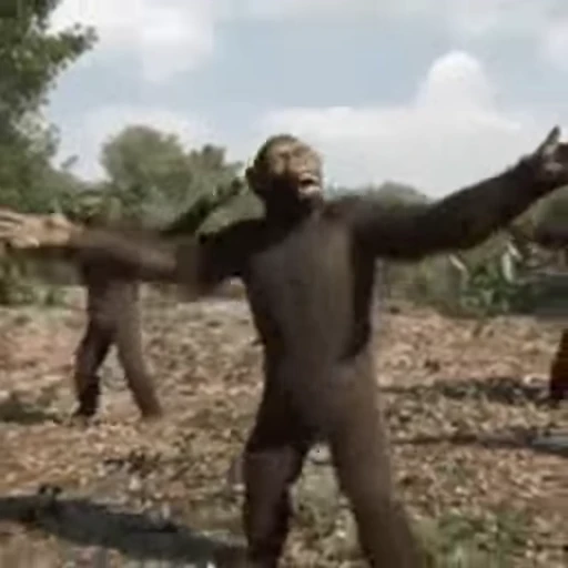 🕺 Стикер «Primates» для Telegram